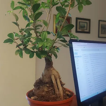 Otel Garni - Pet Friendly