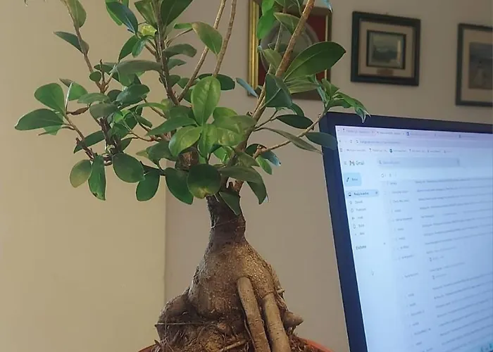 Отель Garni - Pet Friendly